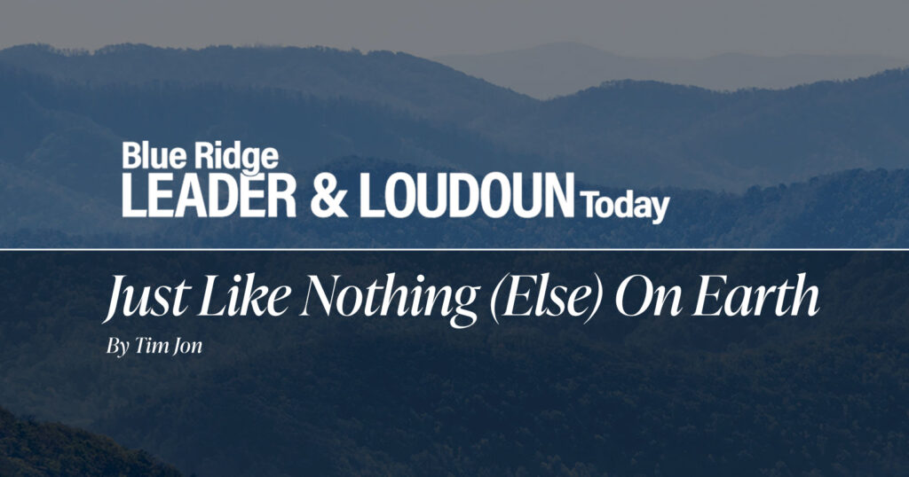 BRL-FB-tim-jon-image