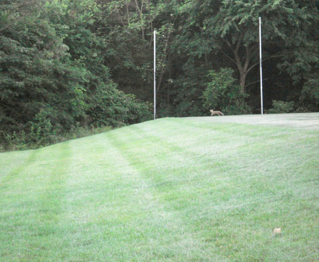 Conklin Community Park