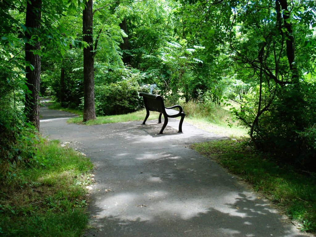 park bench along stream