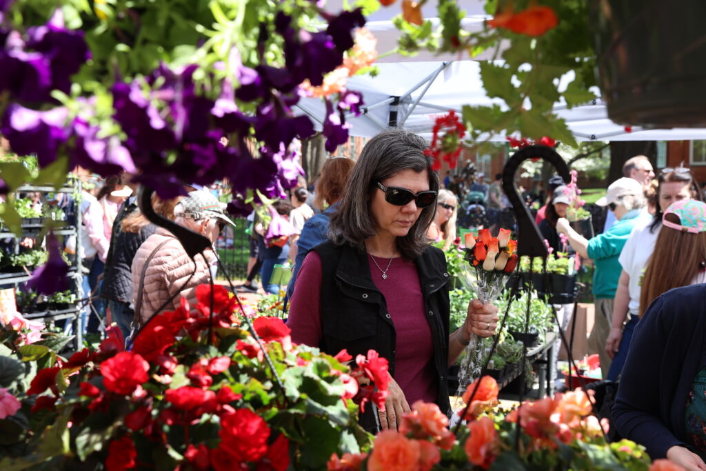 Flower and Garden Festival - Katey Jackson Image