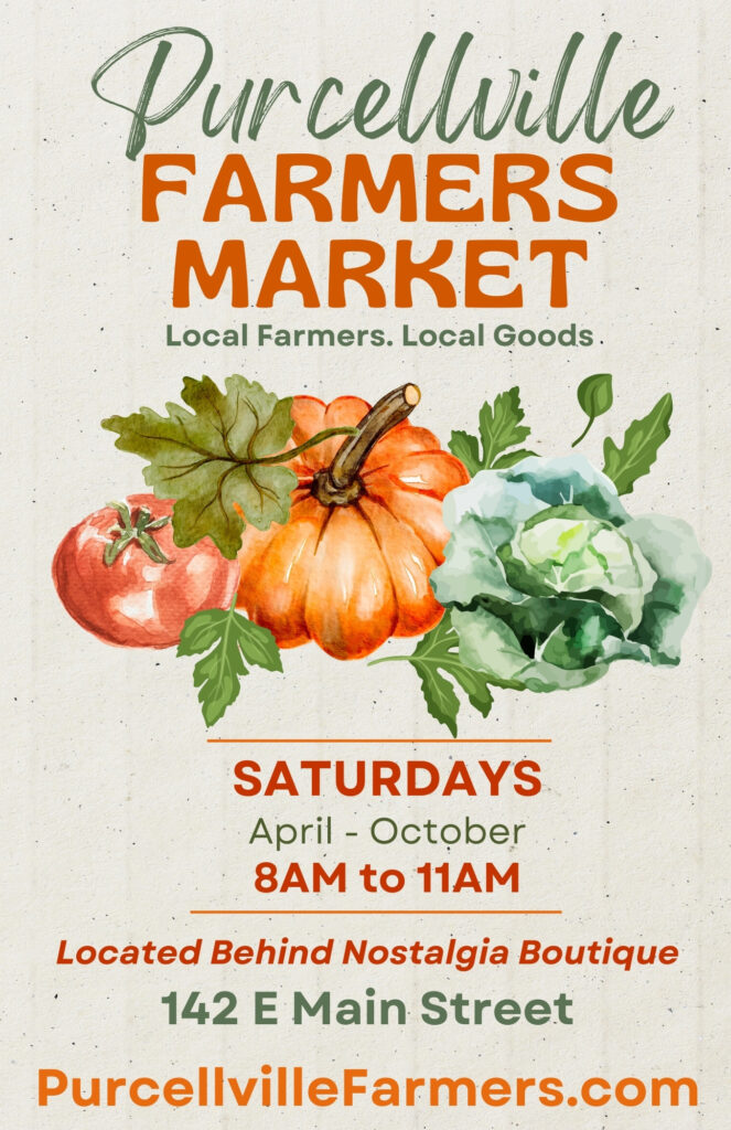 Orange Green Modern Organic Food Farmers Market Instagram Post (Postcard (Portrait)) (1)