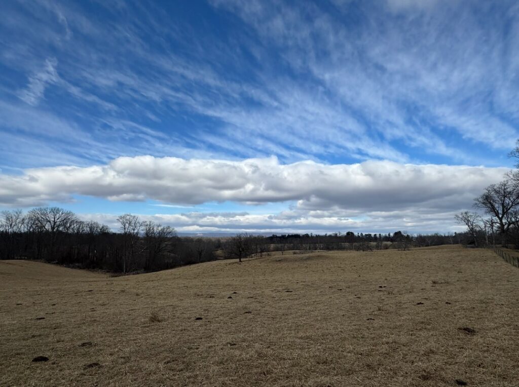 PottsRdEasementPastureLand