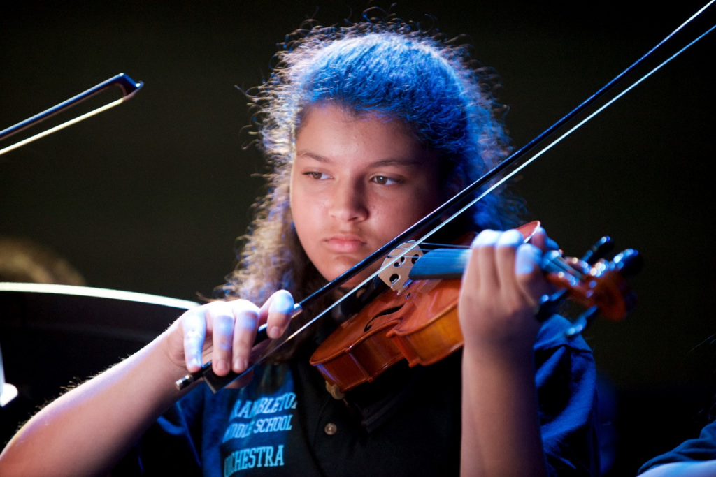Violin