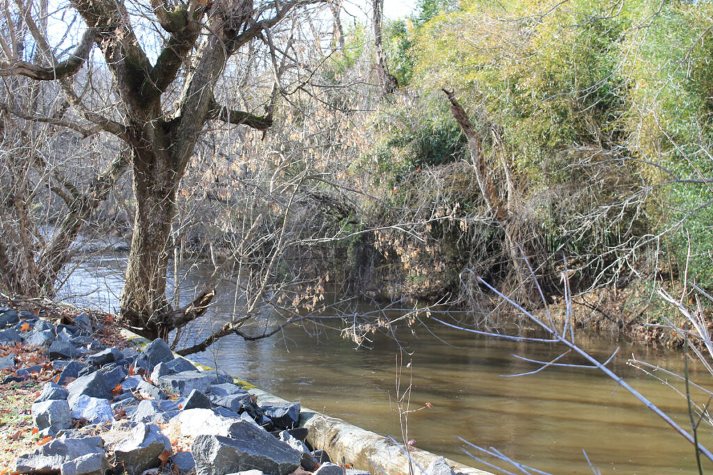Little River Creek near the proposed public green. Photo by Reed Carver.