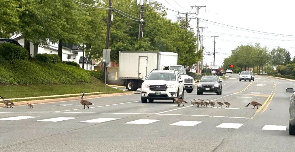 Photo by JD Nenninger